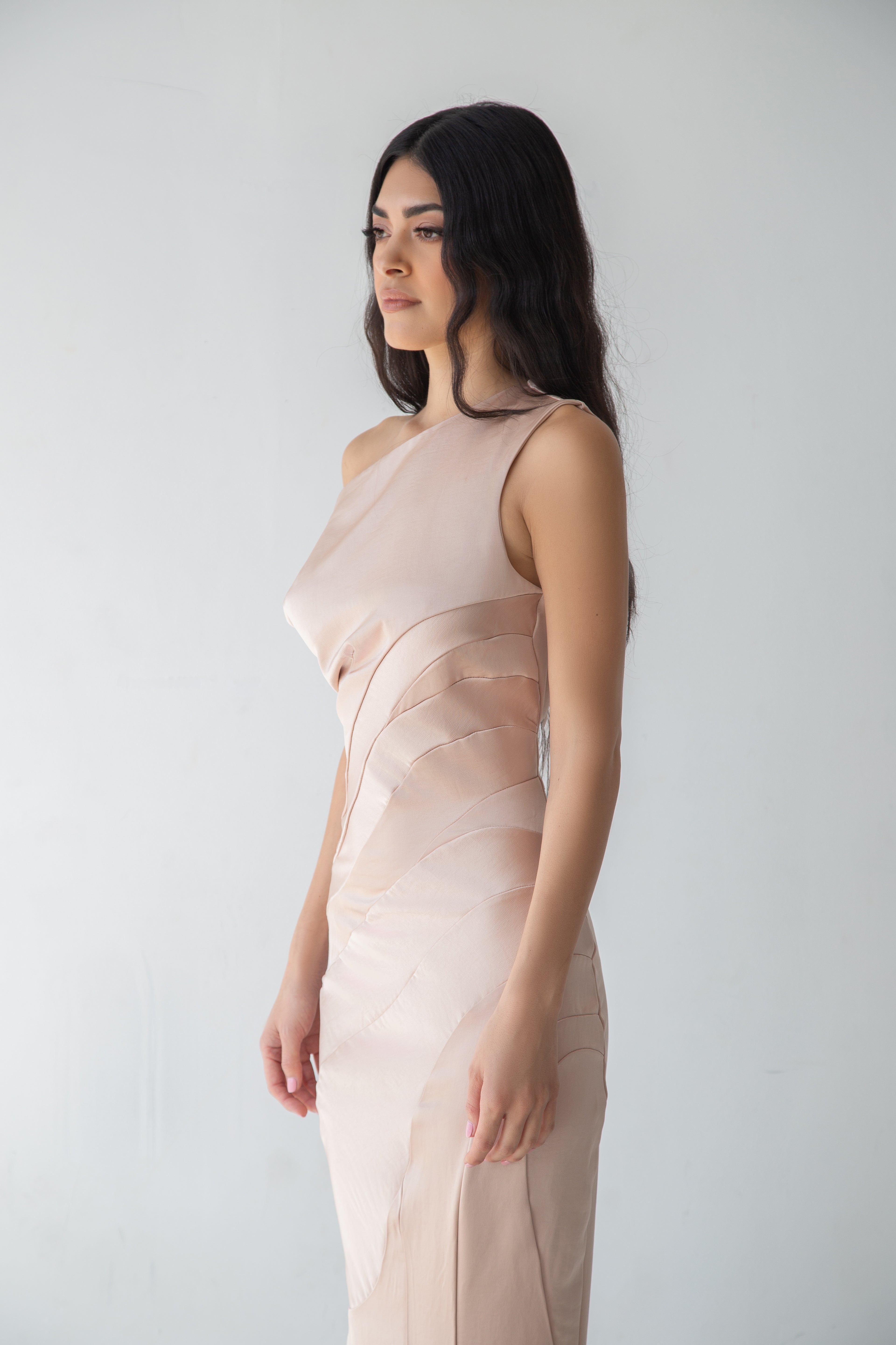 BLUSH SEAMS DRESS